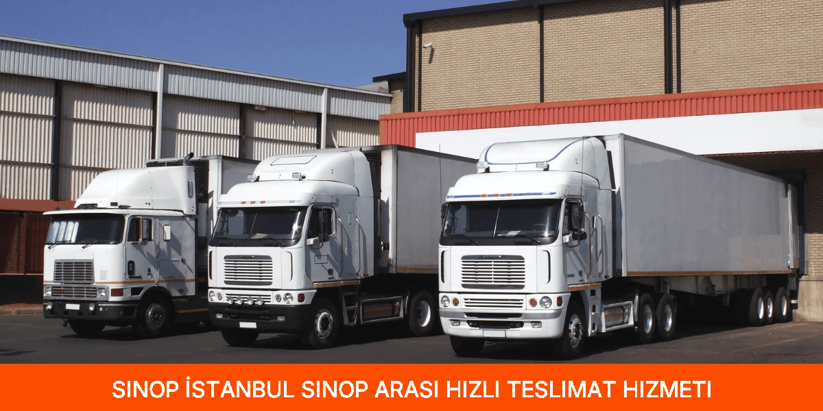 İstanbul Sinop Arası Hızlı Teslimat Hizmeti