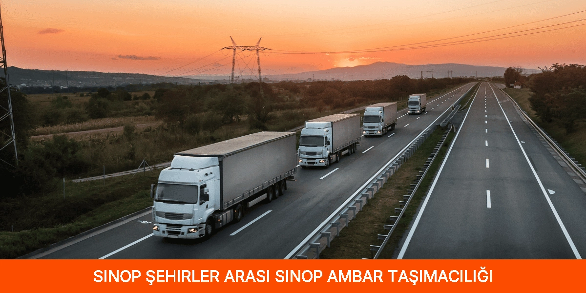 Şehirler Arası Sinop Ambar Taşımacılığı